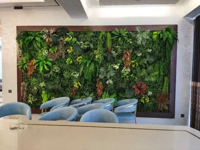 Самшит, искусственное озеленение