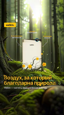 Очиститель воздуха профессиональный Welkin K08E