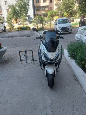 Tiger skuteri 2024