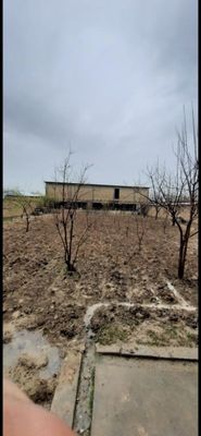 Тошкент тумани Кибрай чинобод 9сотих ер котта молхонаси бор тайёр