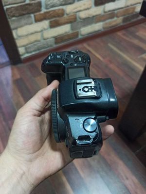 Canon EOS R body