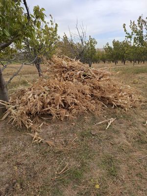 Жухори поялар нархинини жойда келишамиз