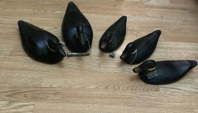 Для охоты: манок, подсадная утка