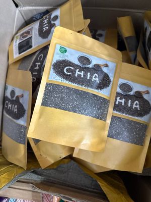 Chia uruglari