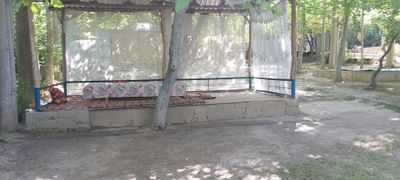 Тапчан сув буйида