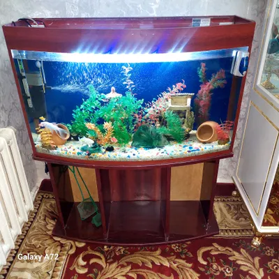 akvarium sotiladi srochna