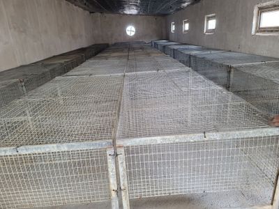 Продаются клетки маточники 2 и откормчные 1