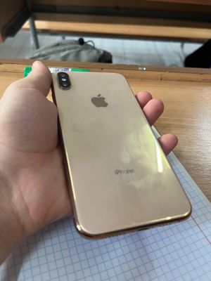 Xs max gold 256