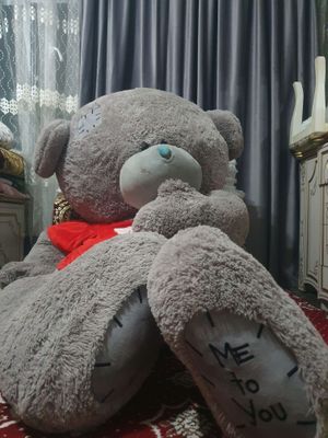 Tedy