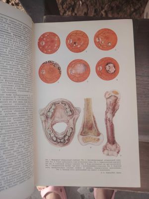 Продам медицинские книги