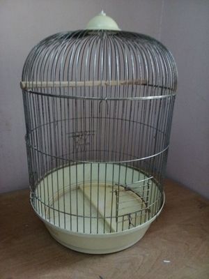 Kletkalar sotiladi 5 ta bor 25 mindan hammasi 100 min
