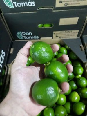 лайм из Бразилии