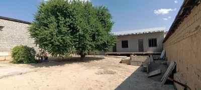 Qibray tumani Seleksiya Кибрай тумани селекция 6 соток sotok uchastka