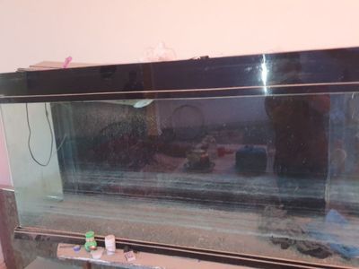 Akvarium sotiladi holati yaxshi