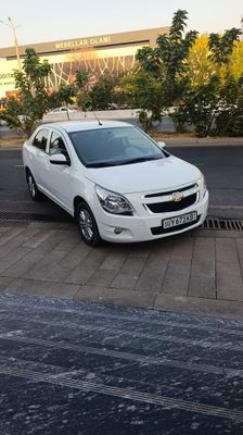 Cobalt 2024 svoy