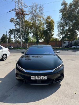 Byd Han 2024 yil 605 tali