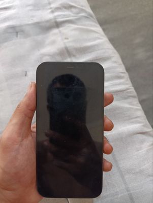 IPhone 12pro hamma narsasi radnoy narx 430$