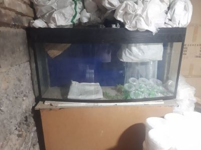 Kotta akvarium