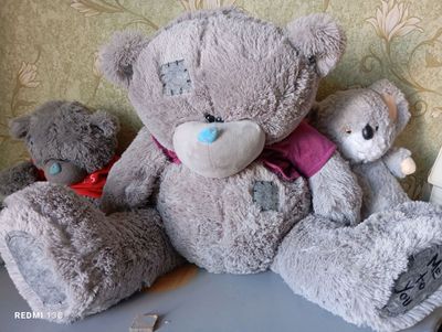 söragan narxlarda 3 ta Teddi sotiladi