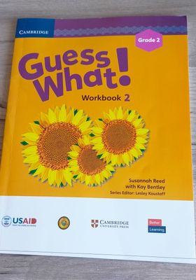 Английский язык 2й класс. Workbook 2