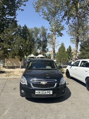 Kobalt краска тоза