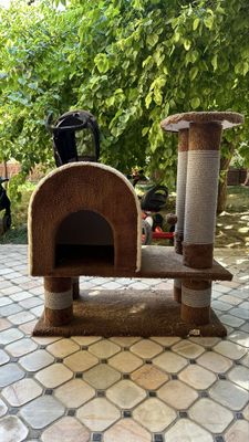 Домик для кошки х
