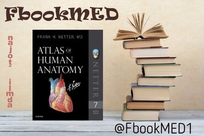 Atlas of human anatomy Netter