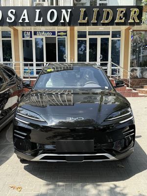 Byd Song Chempion Smart full