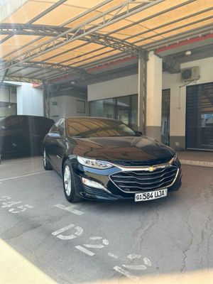 Malibu primer 2020 yil