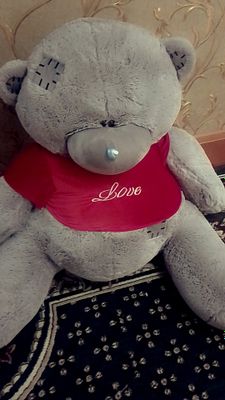 Teddiy ayiqcha