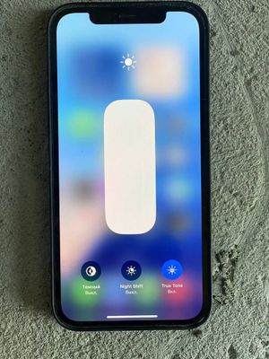 Ipxone 12.