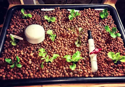 Керамзит оптим нархларда коплик