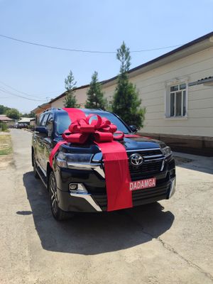 Bantik lenta, Avtobantik падарочный лента