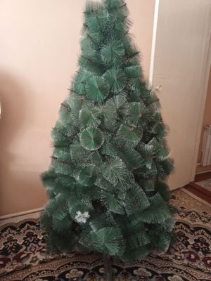 sifatli archa boyi 170 sm