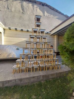 Kichik stul (tabuletka)