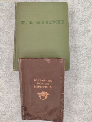 И.В. Мичурин. Гениальный генетик и селекционер.