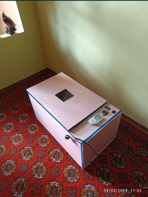 Enkubator xizmati