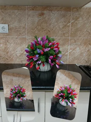 atlas loladan kompazitsa