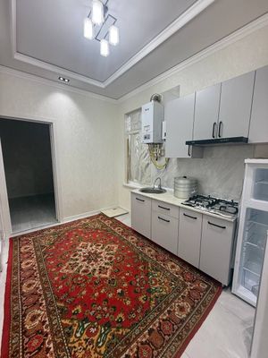 Yangihayot tumani rayhon ko’chasi