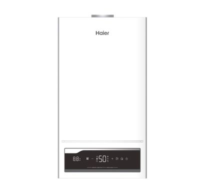 Настенный газовый котел HAIER ProLine 2.28 Ti