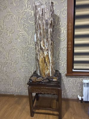 Продаю декоративный камень из окаменевшего дерева (Китай)