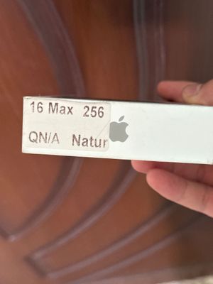 iPhone 16 pro max