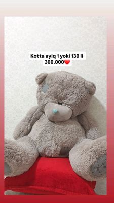 teddy ayiq yumshoqina, kottagina va chiroyli