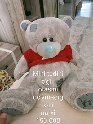 tediy ayig'cha