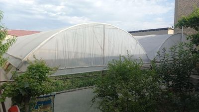 Srochna arzon narxda parnik sotiladi