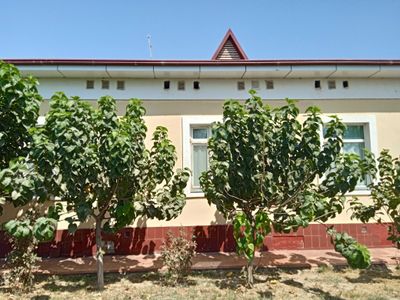Намунали уй - котеж, Термиз тумани, Солиобод МФЙ