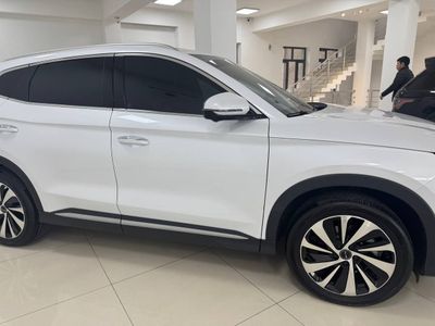 BYD CHEMPION 2023 (avtokredit)