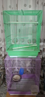 Клетки для животных