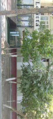 Navoiy shaxar Galaba shox kochasi gorni institut roparasi