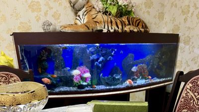 Аквариум сотилади akvarium sotiladi 700litr